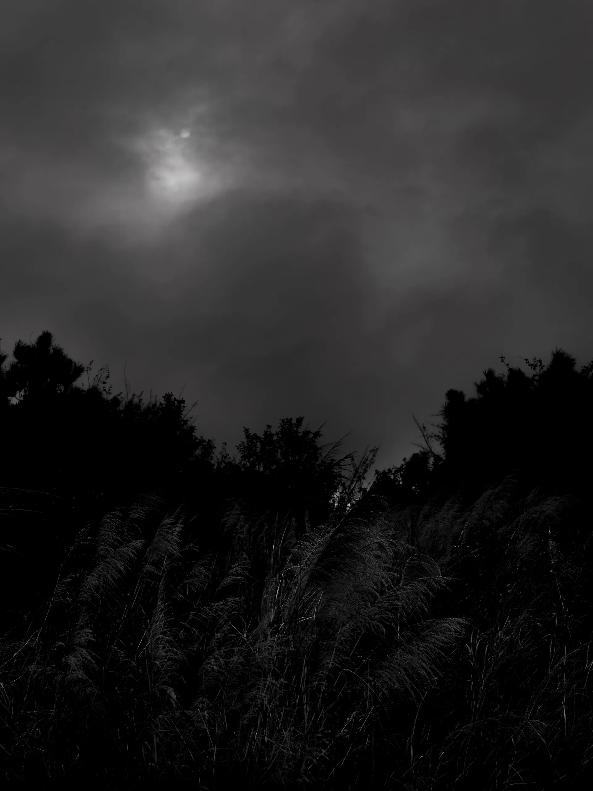 7.83Hz — photograph by Andras Ikladi, 2025