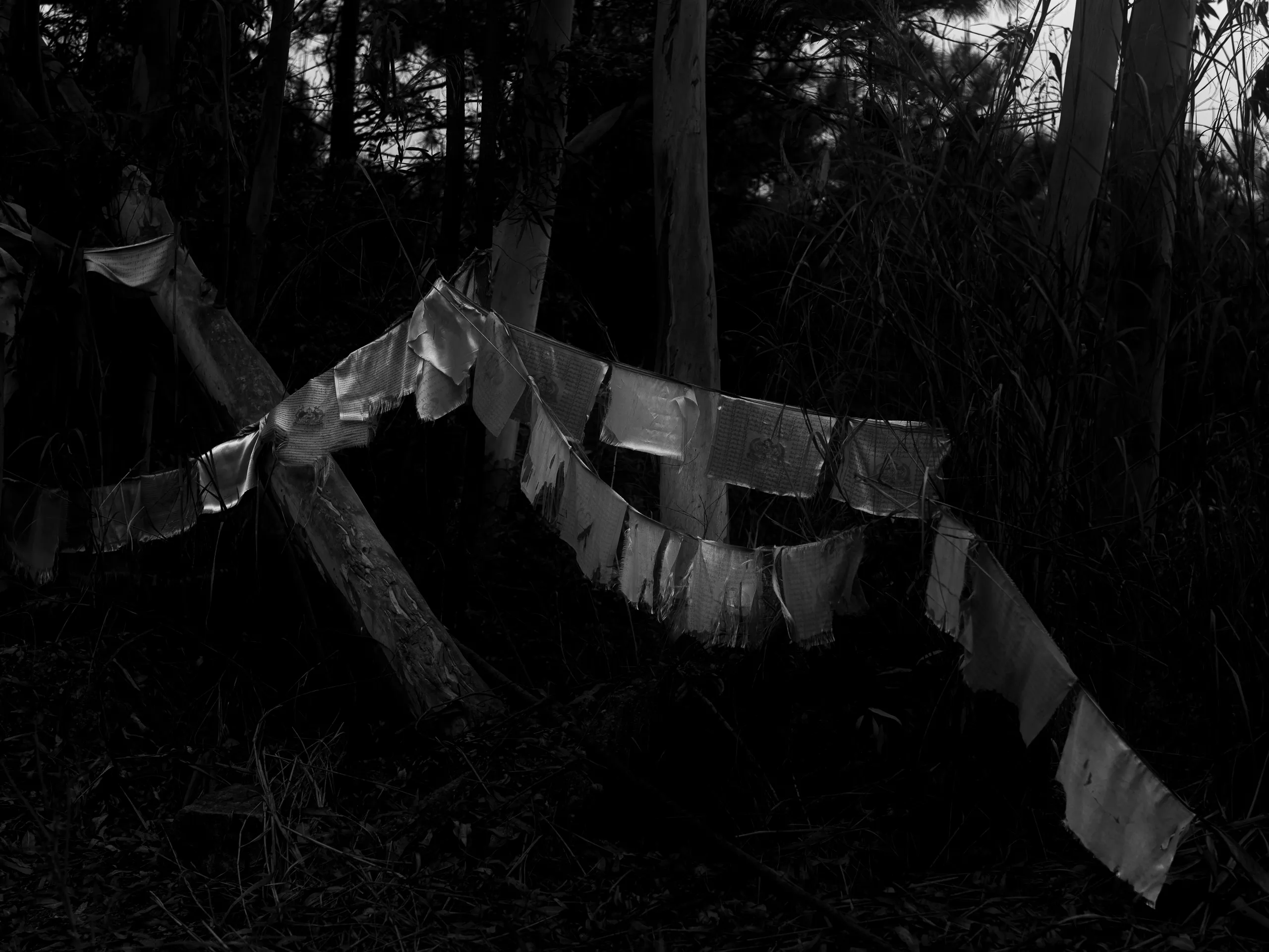 7.83Hz — photograph by Andras Ikladi, 2025