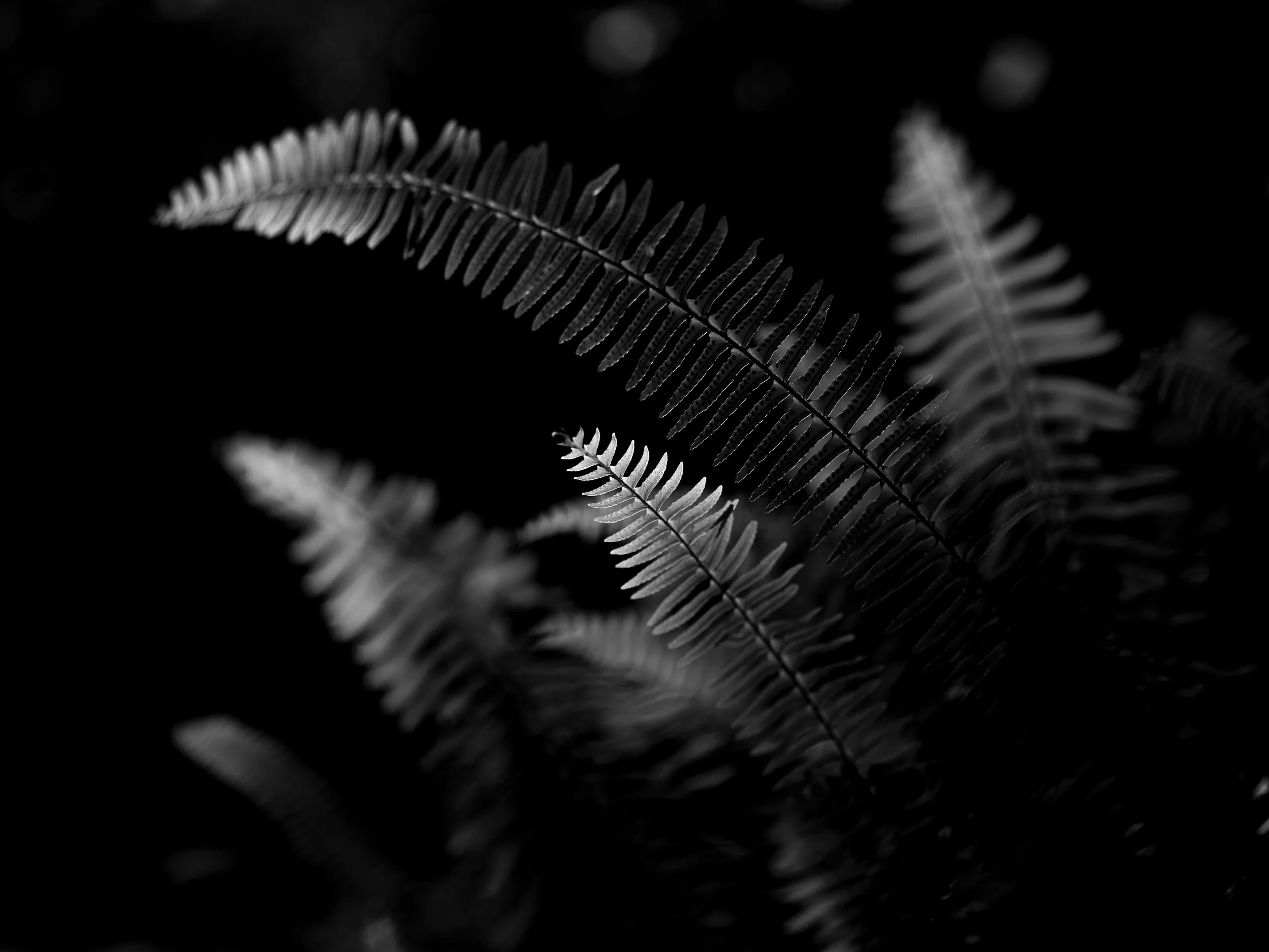 7.83Hz — photograph by Andras Ikladi, 2025