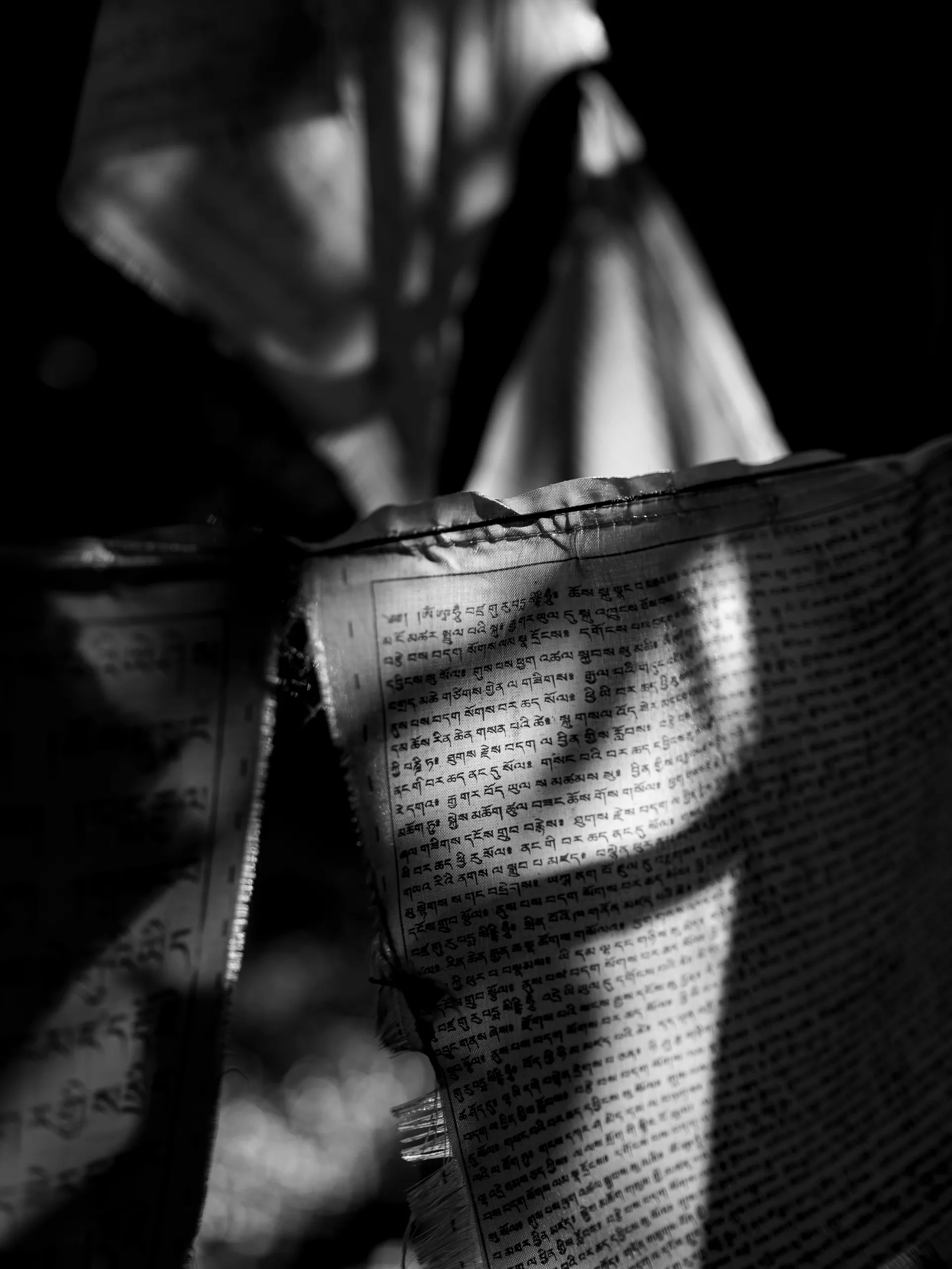 7.83Hz — photograph by Andras Ikladi, 2025