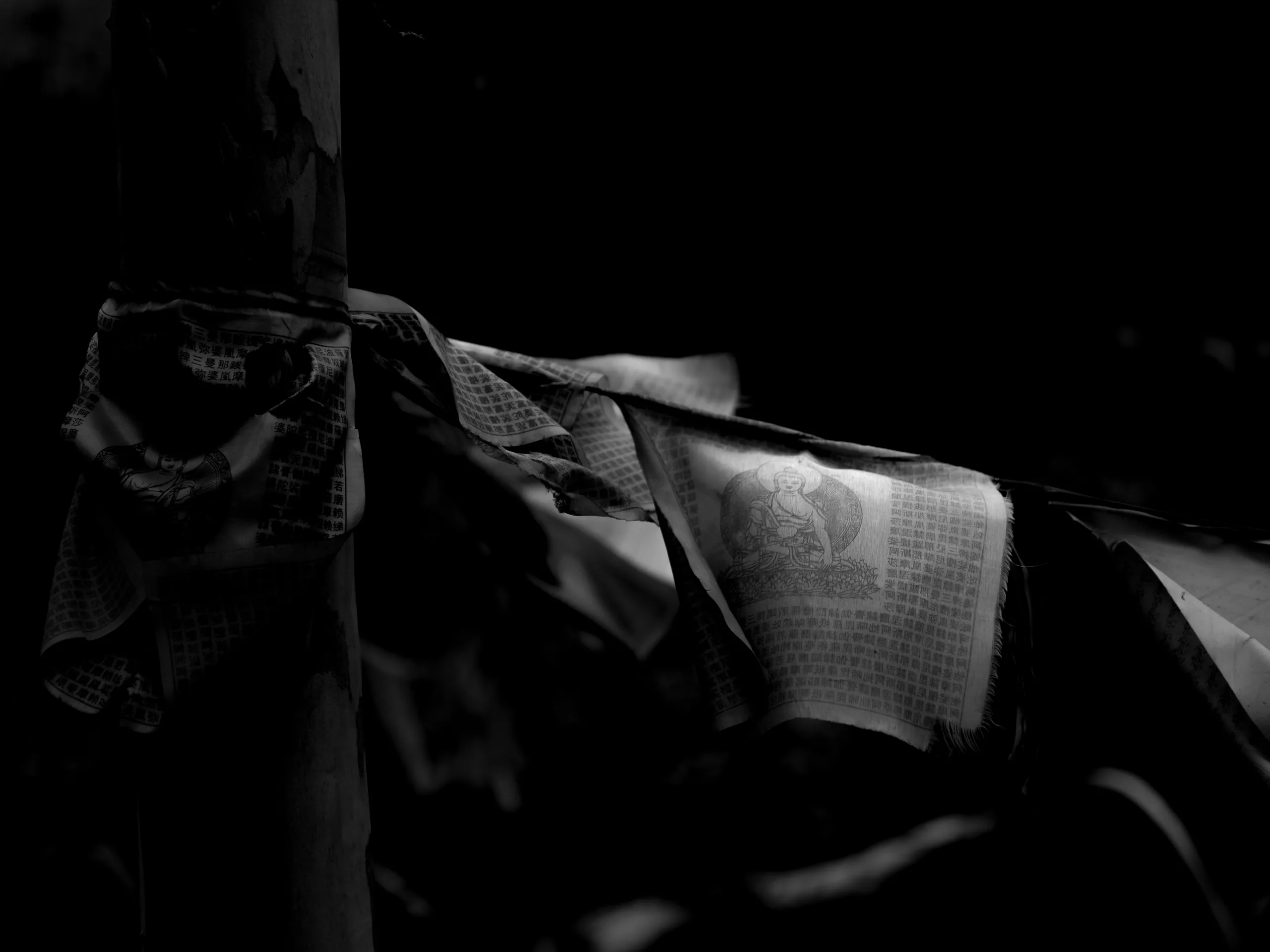 7.83Hz — photograph by Andras Ikladi, 2025