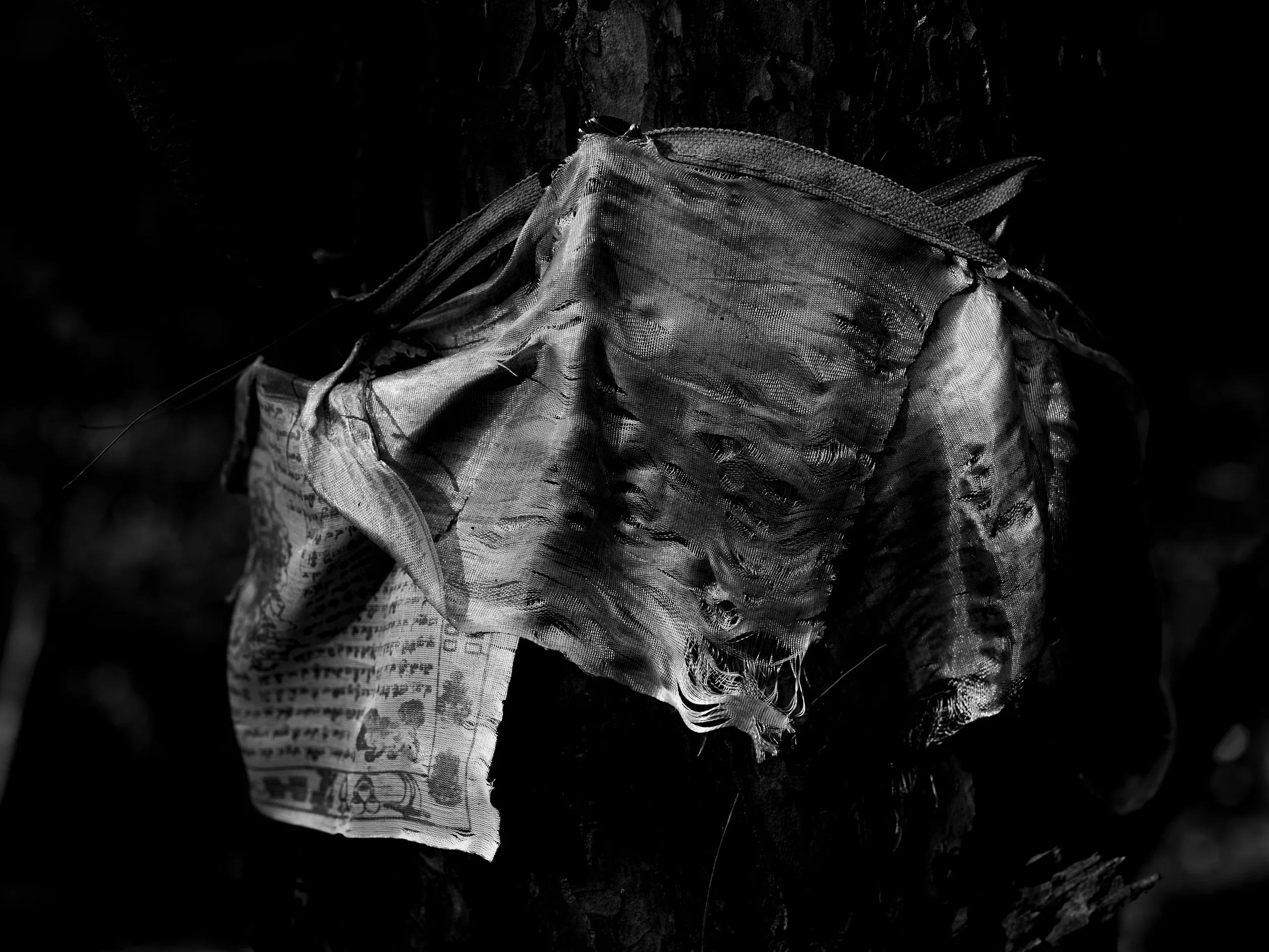 7.83Hz — photograph by Andras Ikladi, 2025