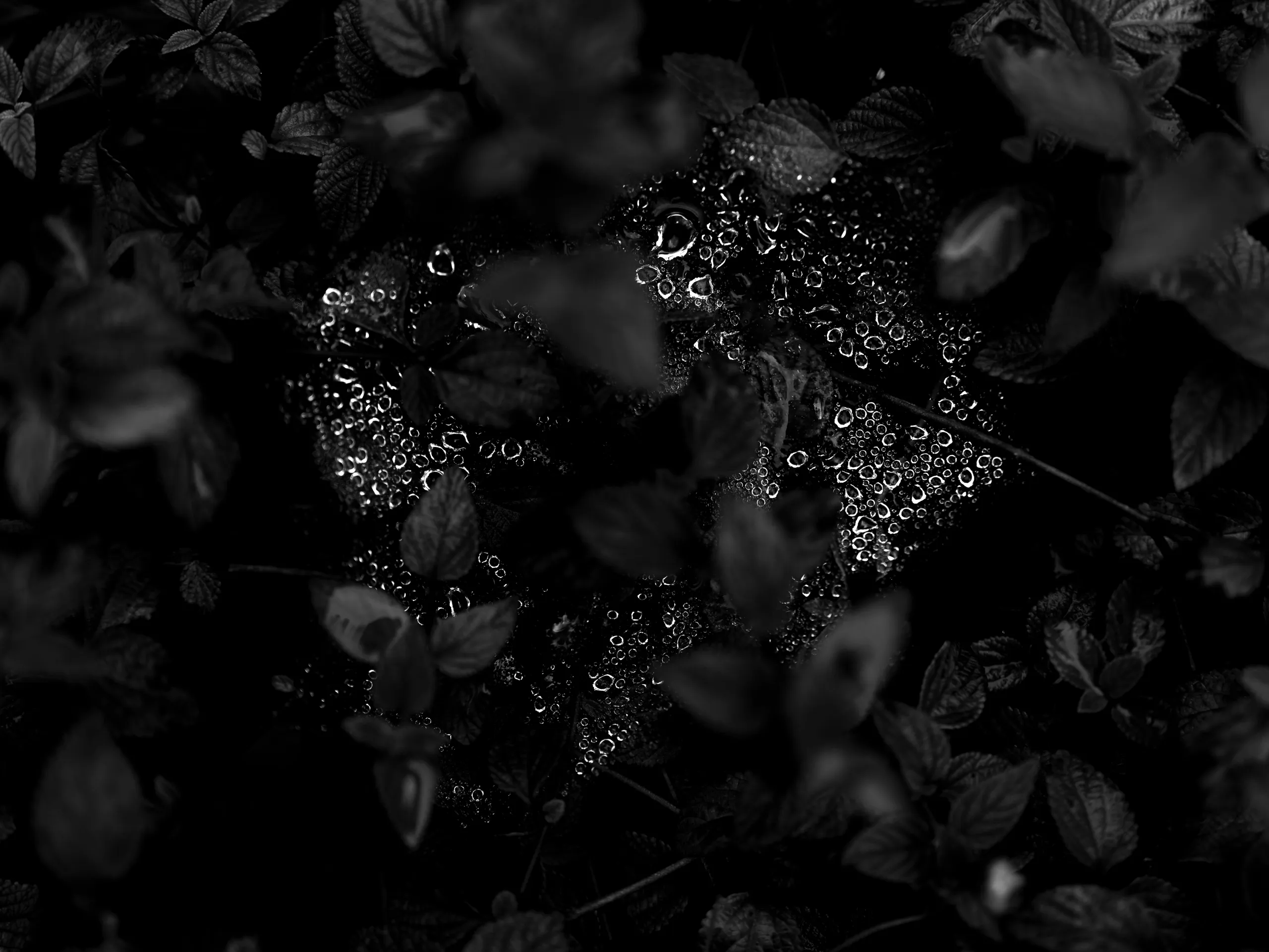 7.83Hz — photograph by Andras Ikladi, 2025