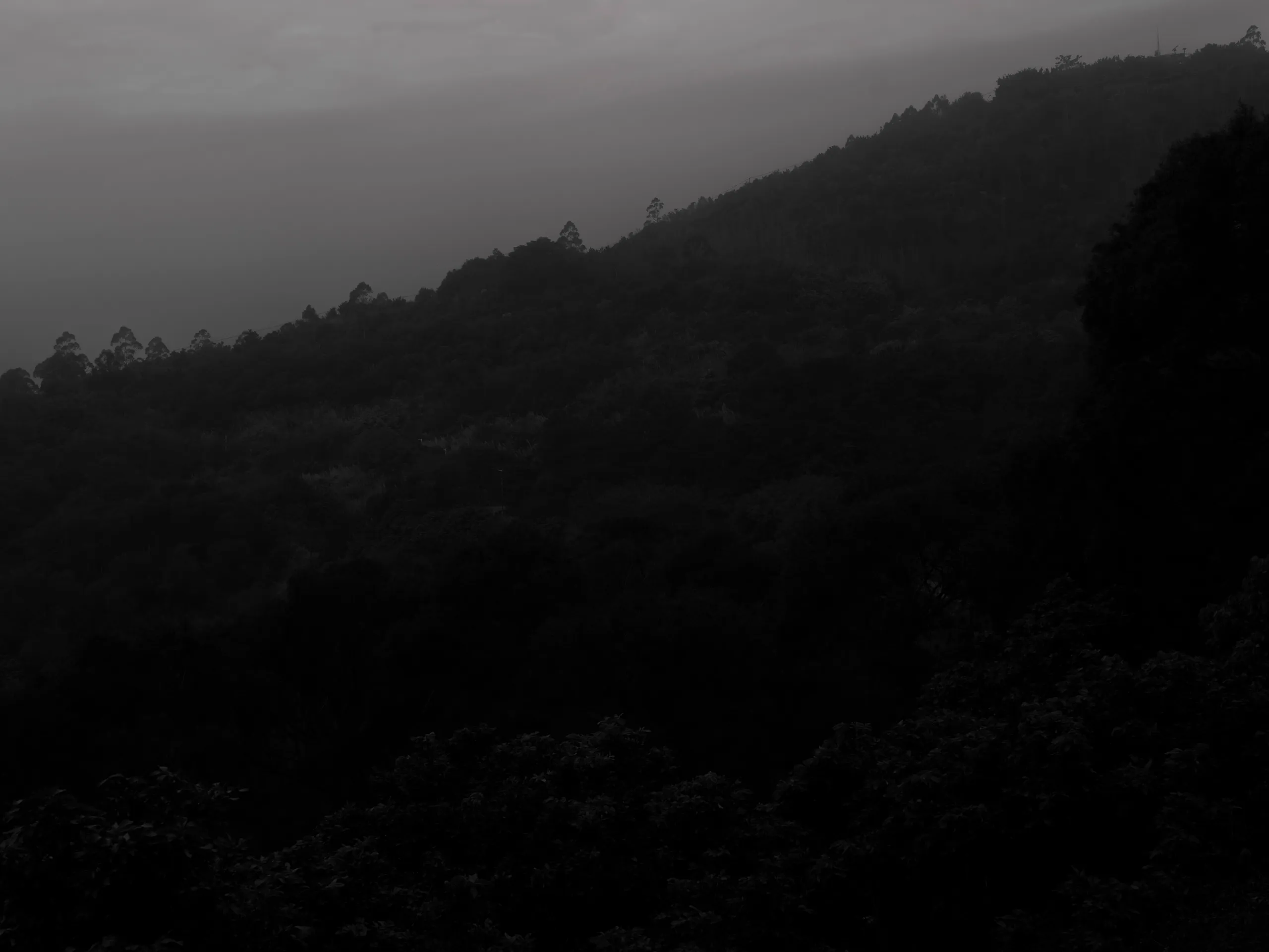 7.83Hz — photograph by Andras Ikladi, 2025