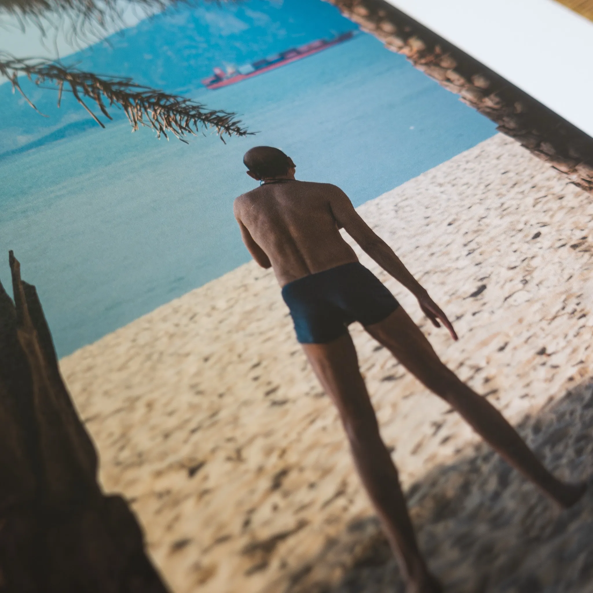 Citramarine by Andras Ikladi — book photography