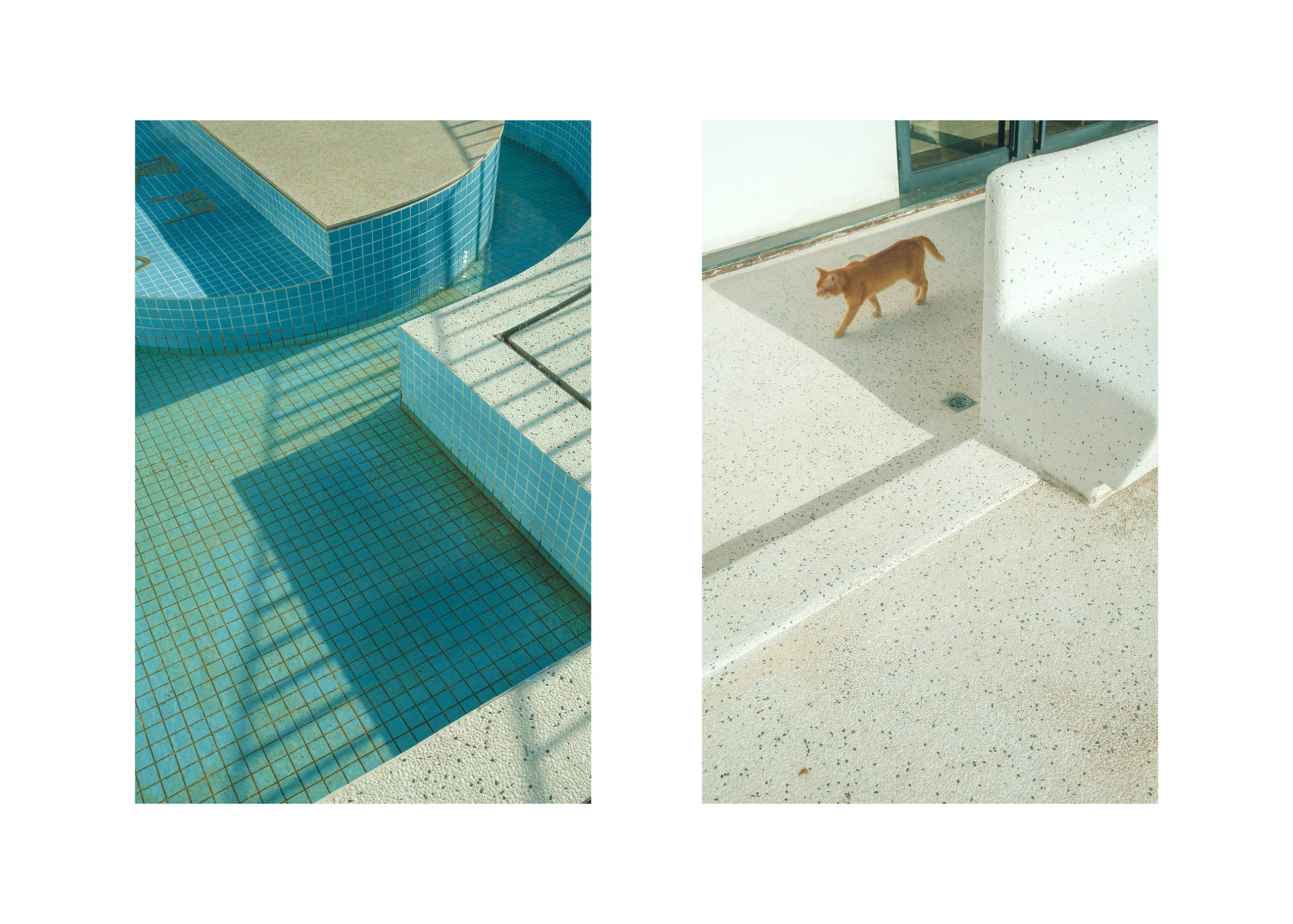 Citramarine — tropical light in Xiamen, photograph by Andras Ikladi, 2021