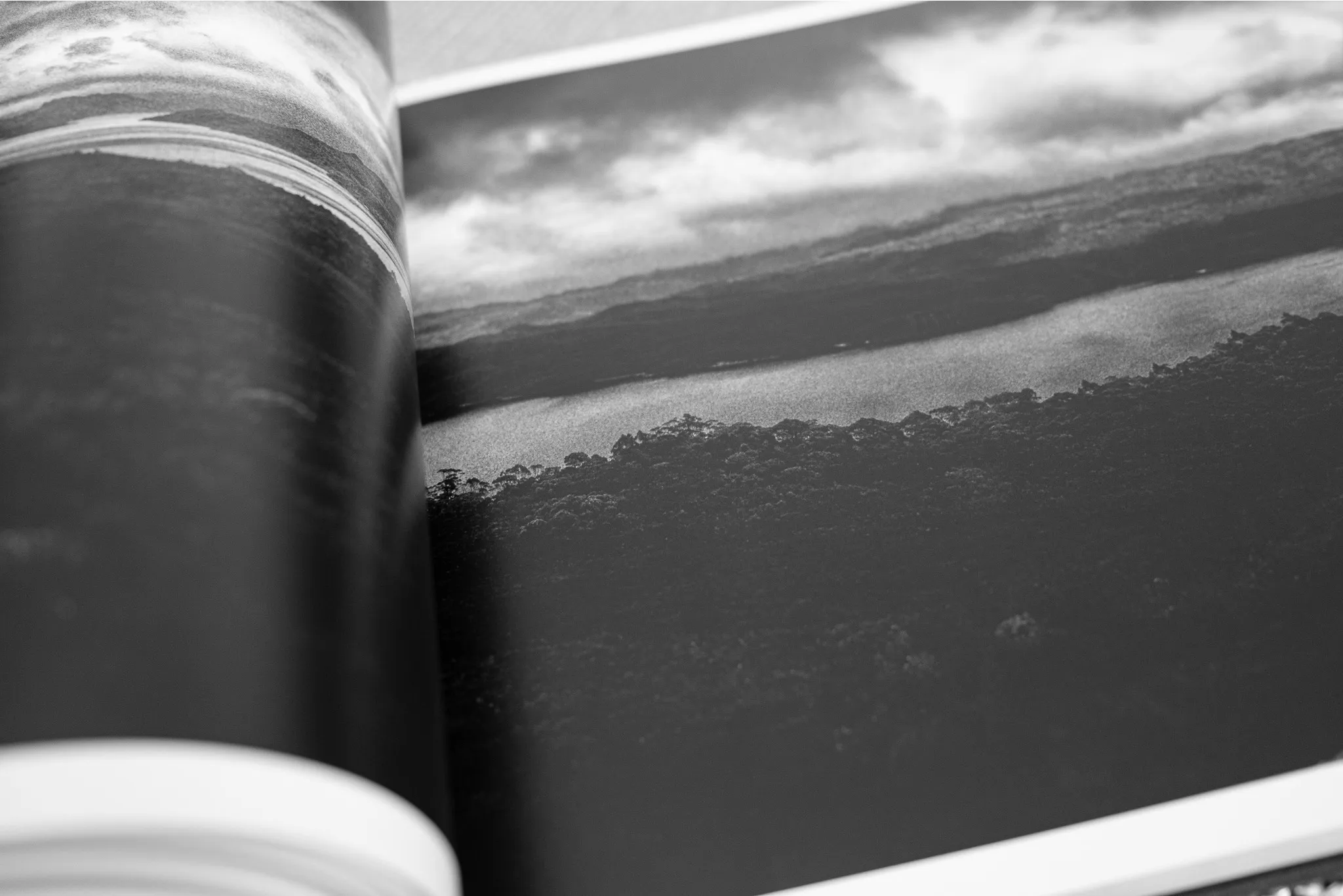 Crows Nest by Andras Ikladi — book photography