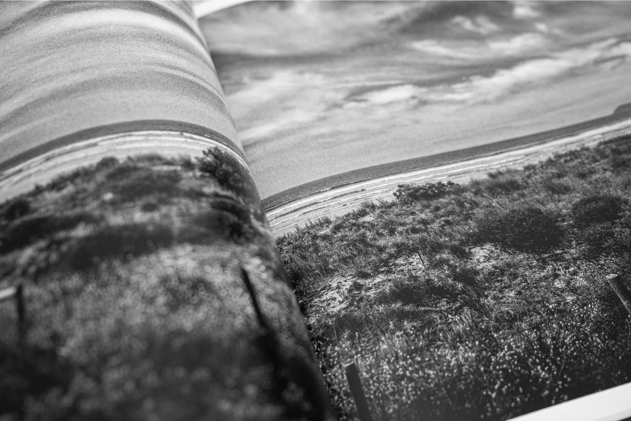 Crows Nest by Andras Ikladi — book photography