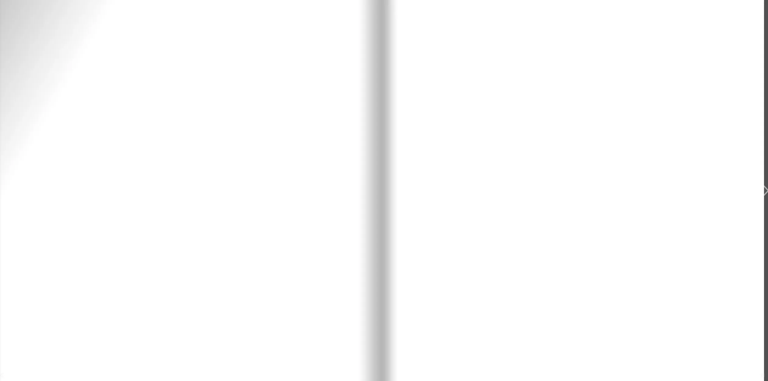 Masks catalogue — page spread 27