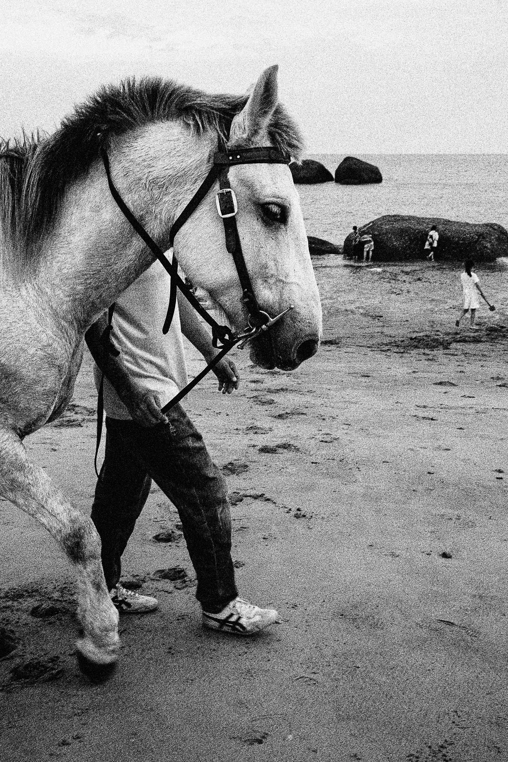 Midnight Eclipse — photograph by Andras Ikladi, 2021