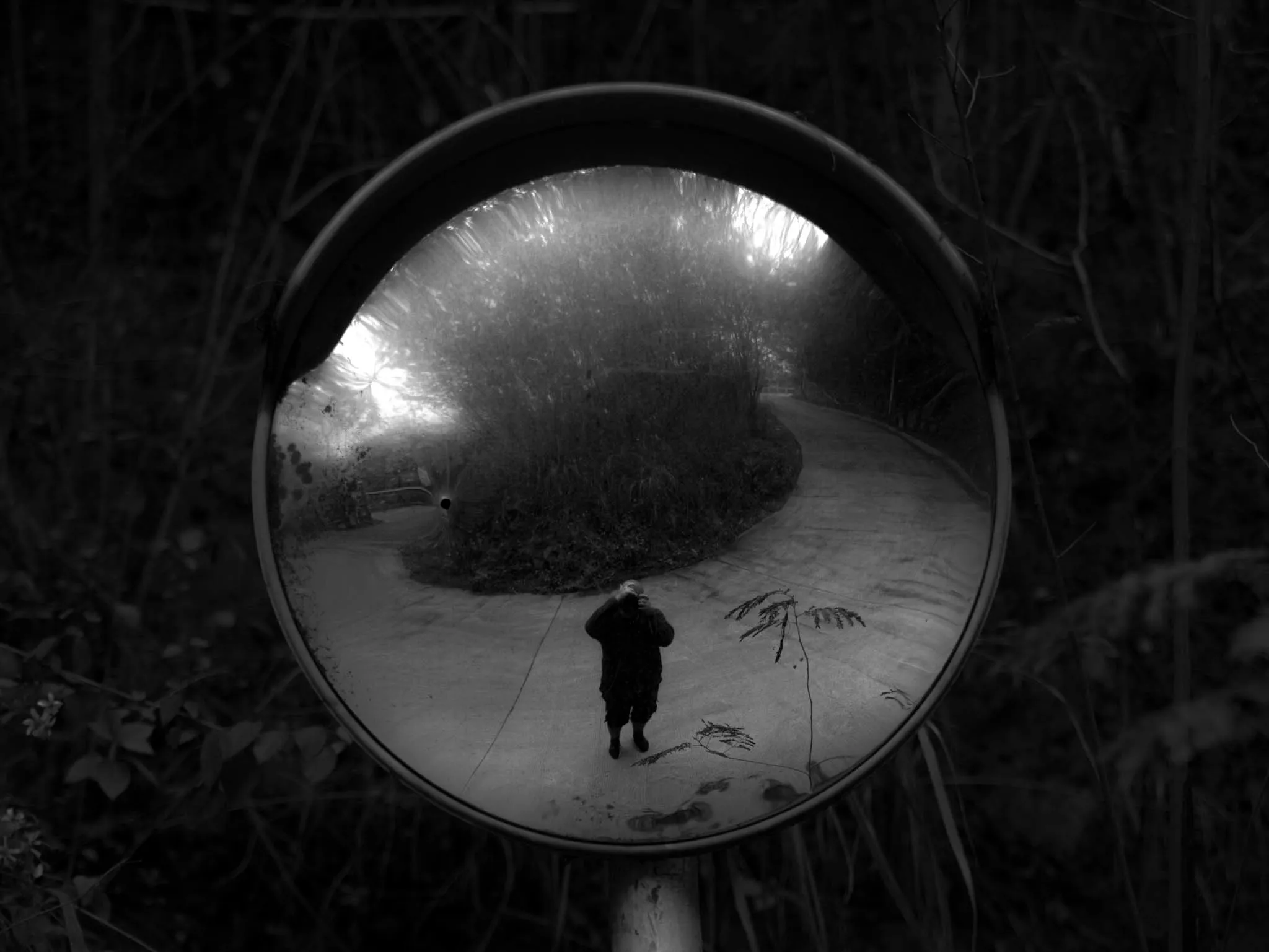 Reflections — Andras Ikladi