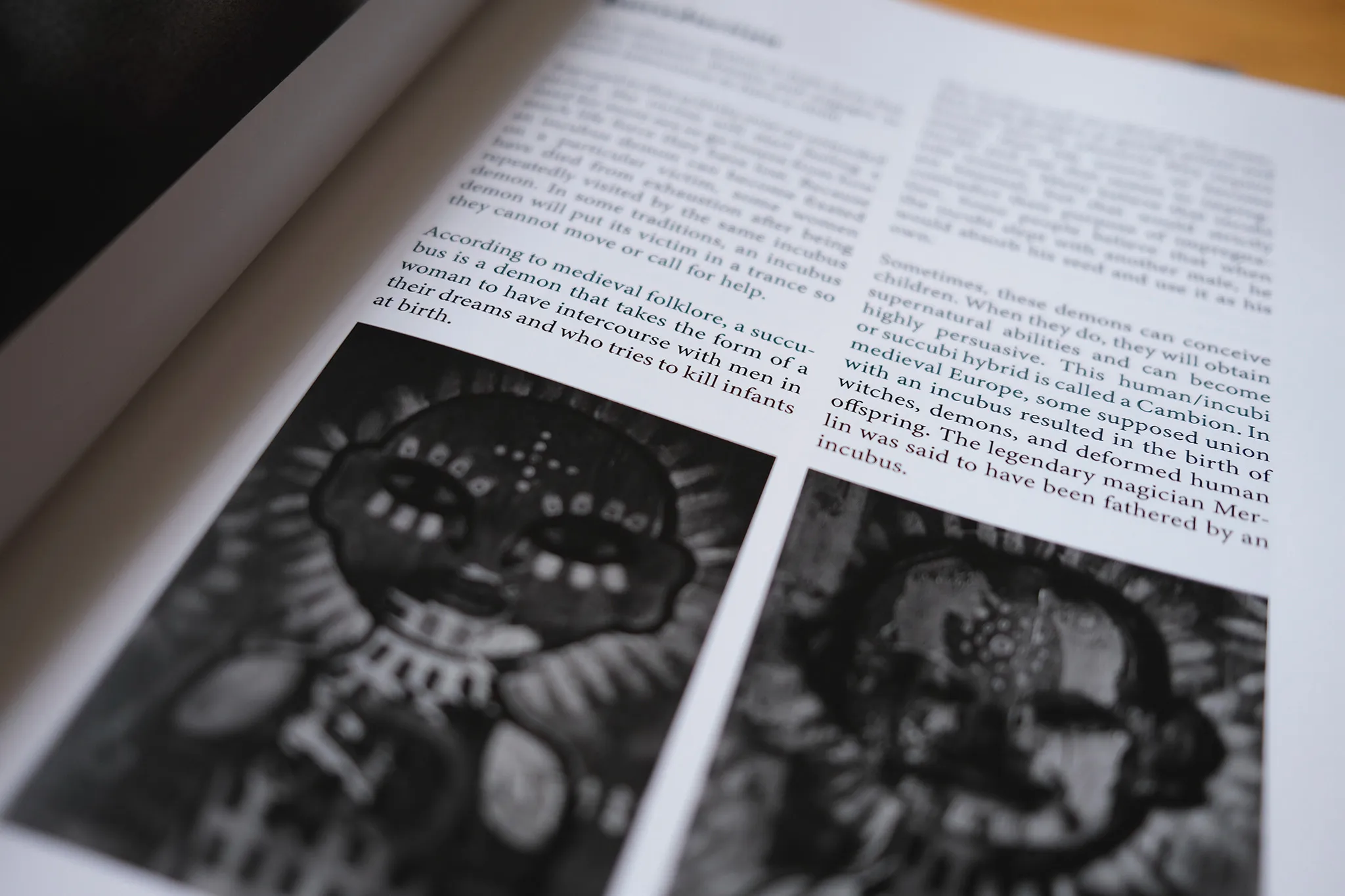 Field Guide example — The Strip