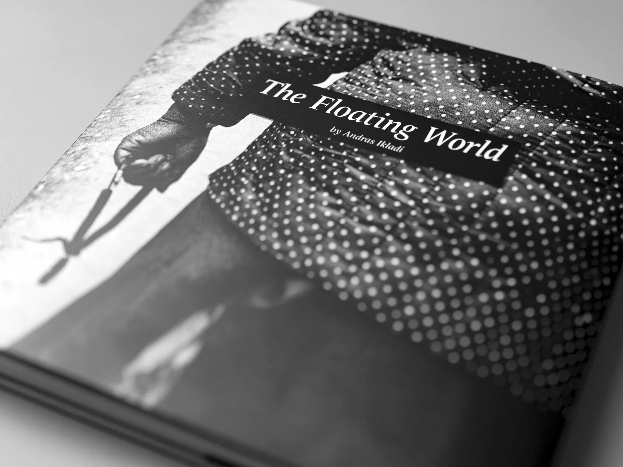 The Floating World by Andras Ikladi — book photography