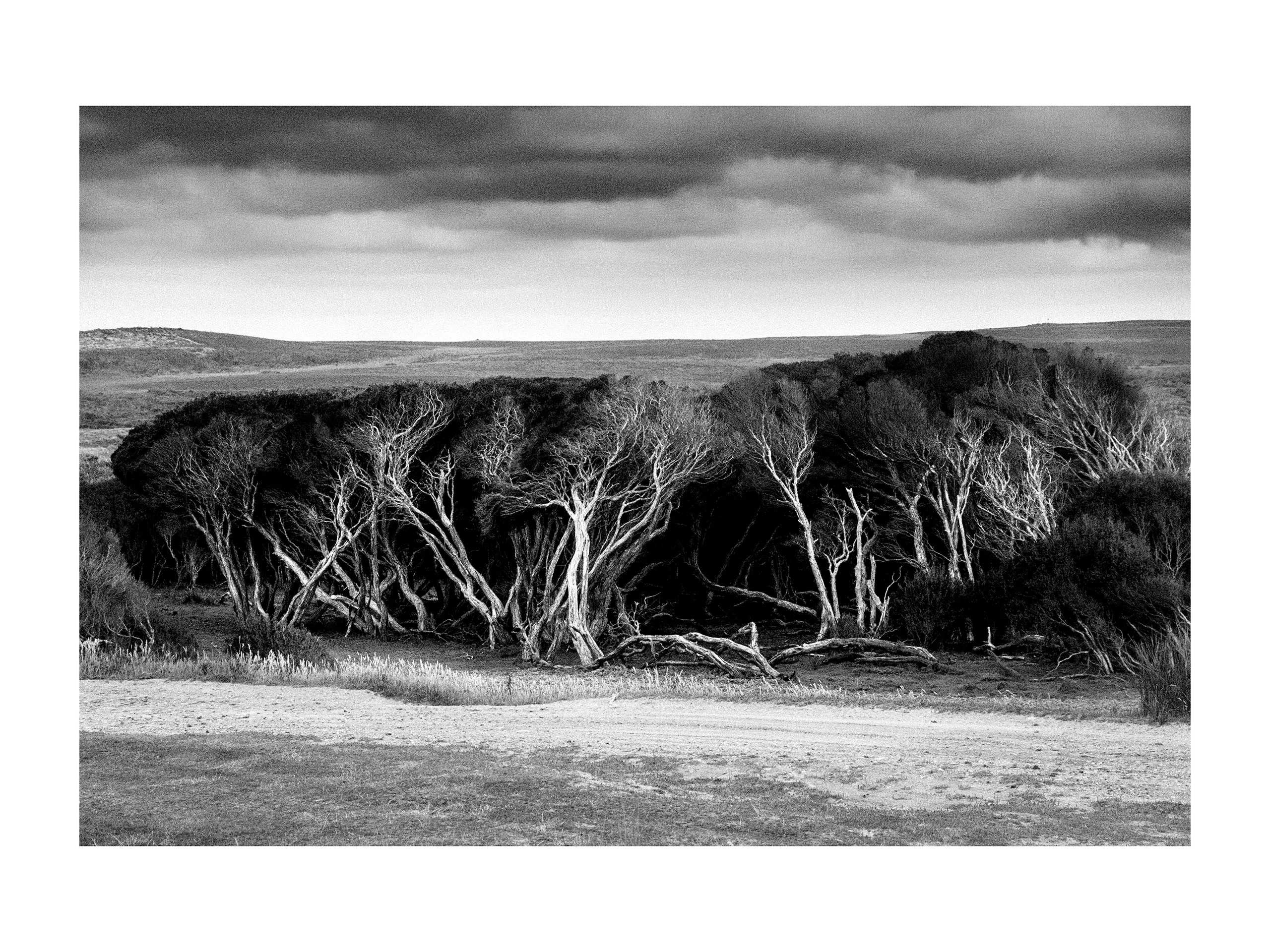 The Floating World — photograph by Andras Ikladi, 2015