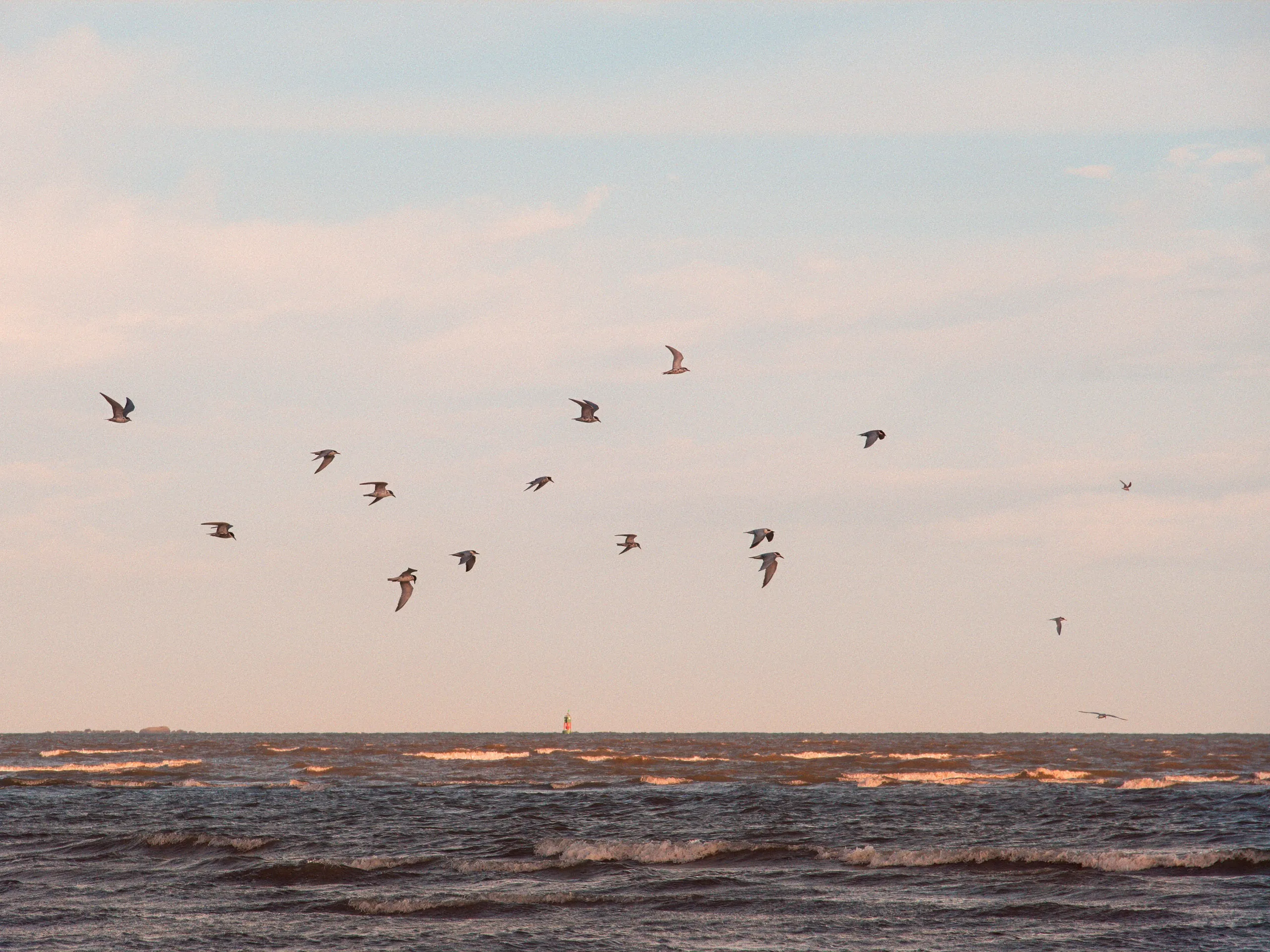 The Strip: On Temporary Grounds — tidal flats in Xiamen, photograph by Andras Ikladi
