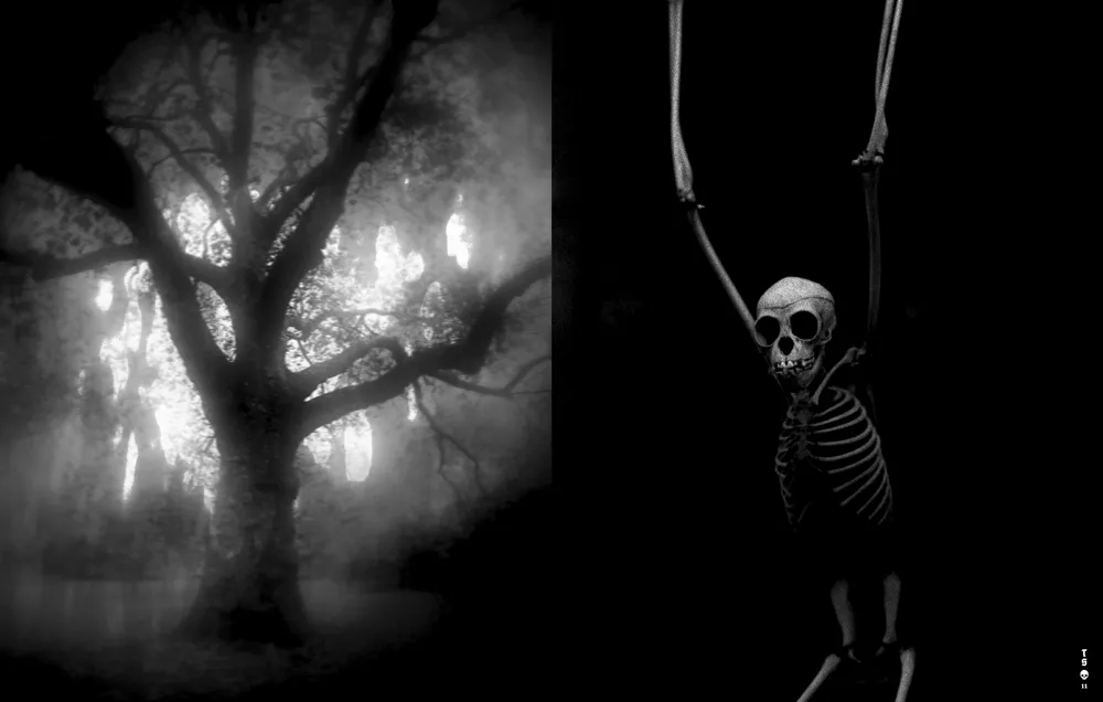 Tropical Stoemp #05 — spread 02