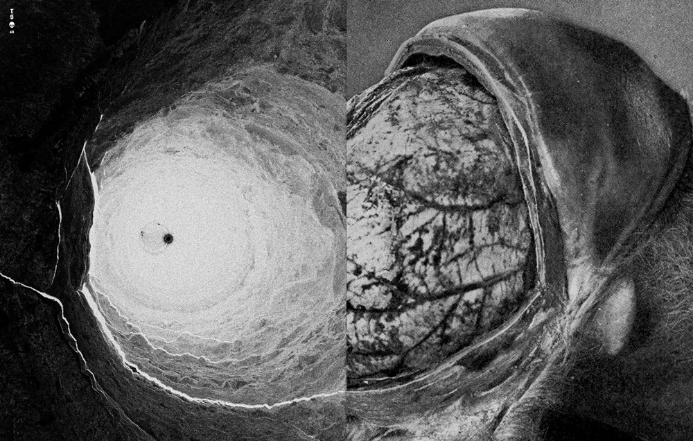 Tropical Stoemp #05 — spread 04
