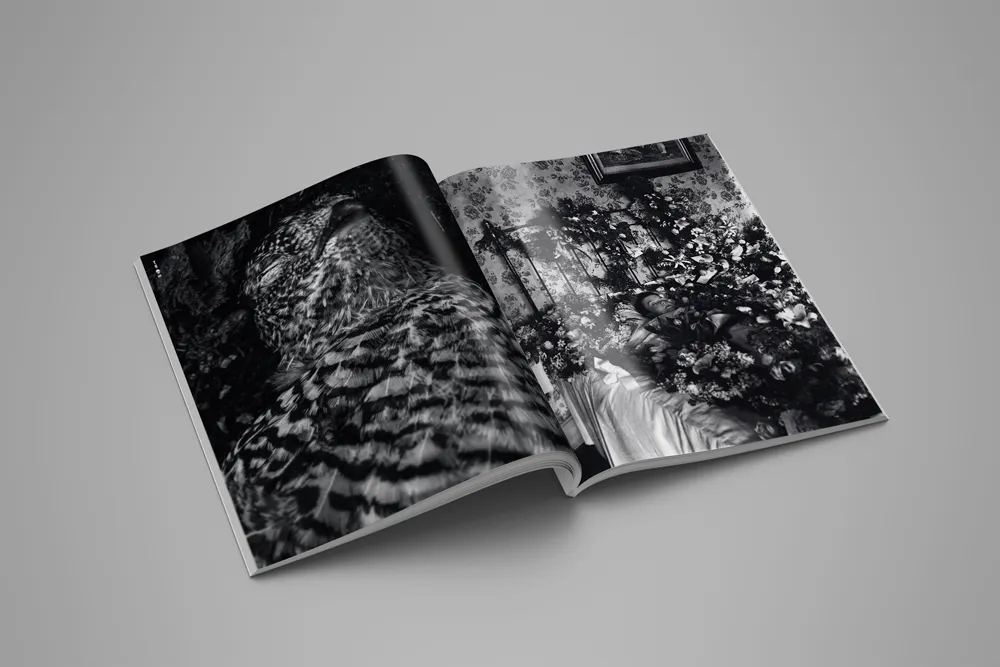 Tropical Stoemp #05 — spread 07