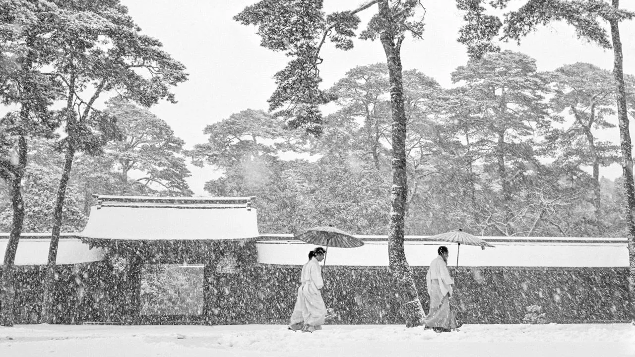 Werner Bischof: Meiji Shrine (1951)
