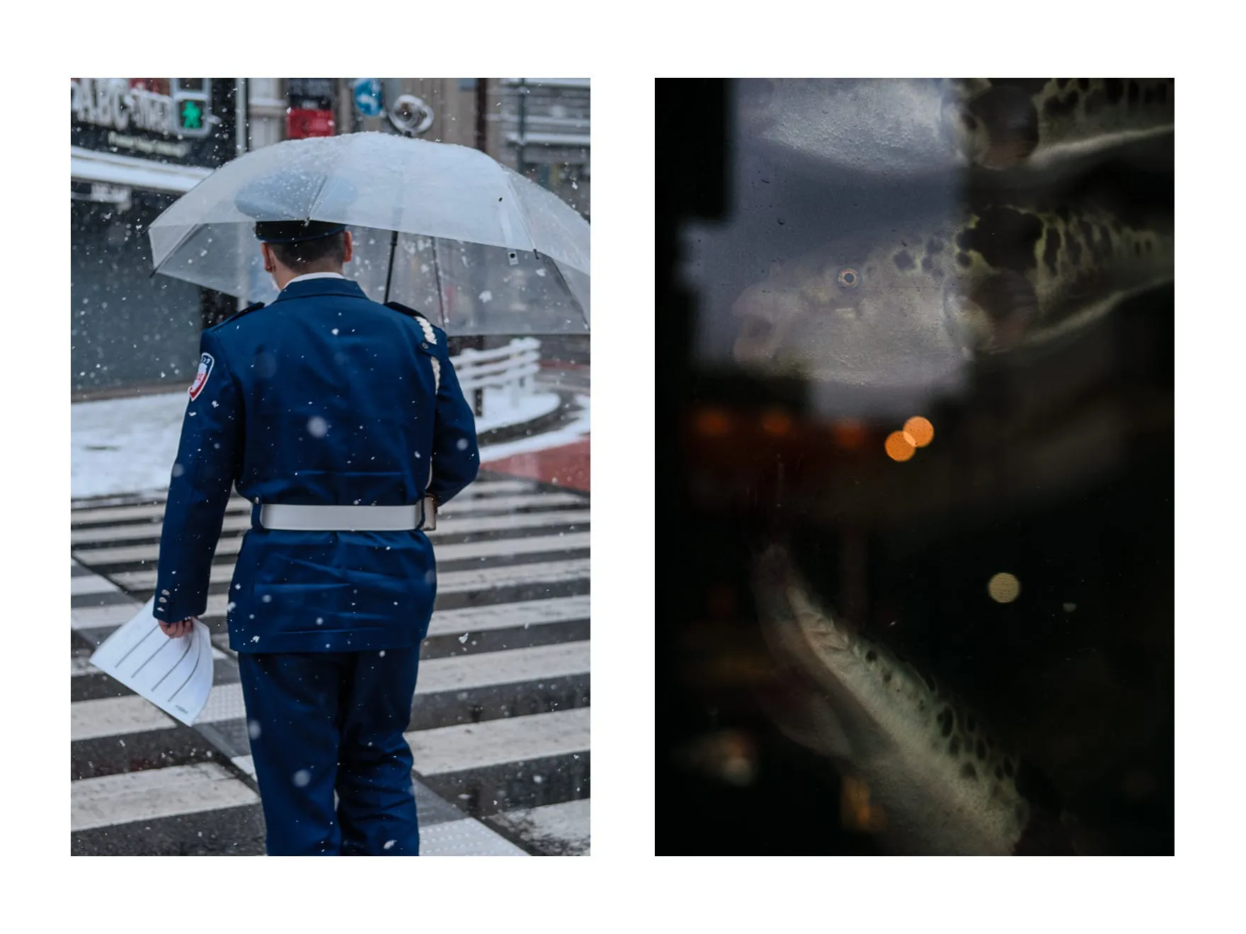 Andras Ikladi: Tokyo diptych (2026)
