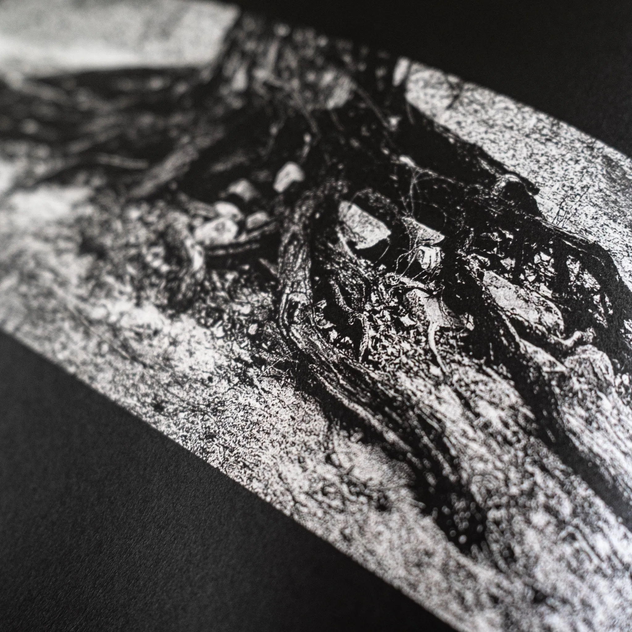 Undercurrents by Andras Ikladi — book photography