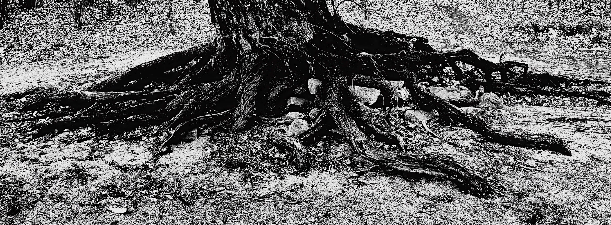 Undercurrents — HunHe River, Northeast China, photograph by Andras Ikladi, 2020