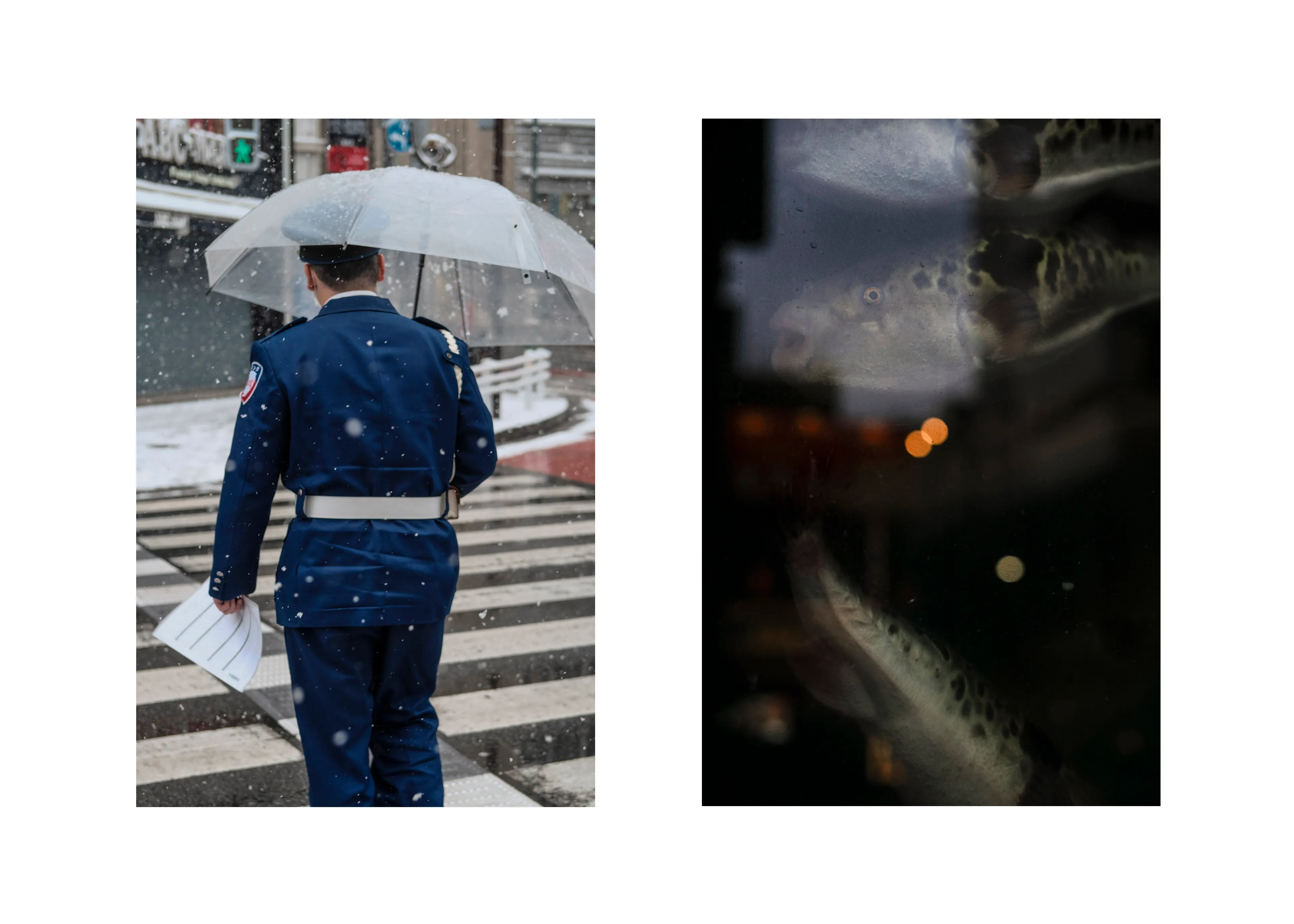 Urban Semiotics photography project by Andras Ikladi — signs and movement in the city