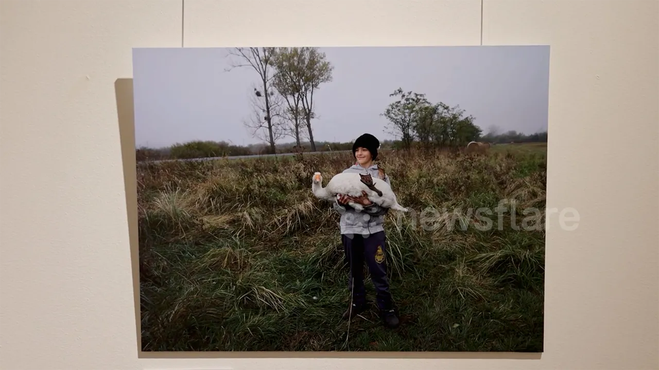 Láncszemek — installation view, Chinese Cultural Center, Budapest, 2024