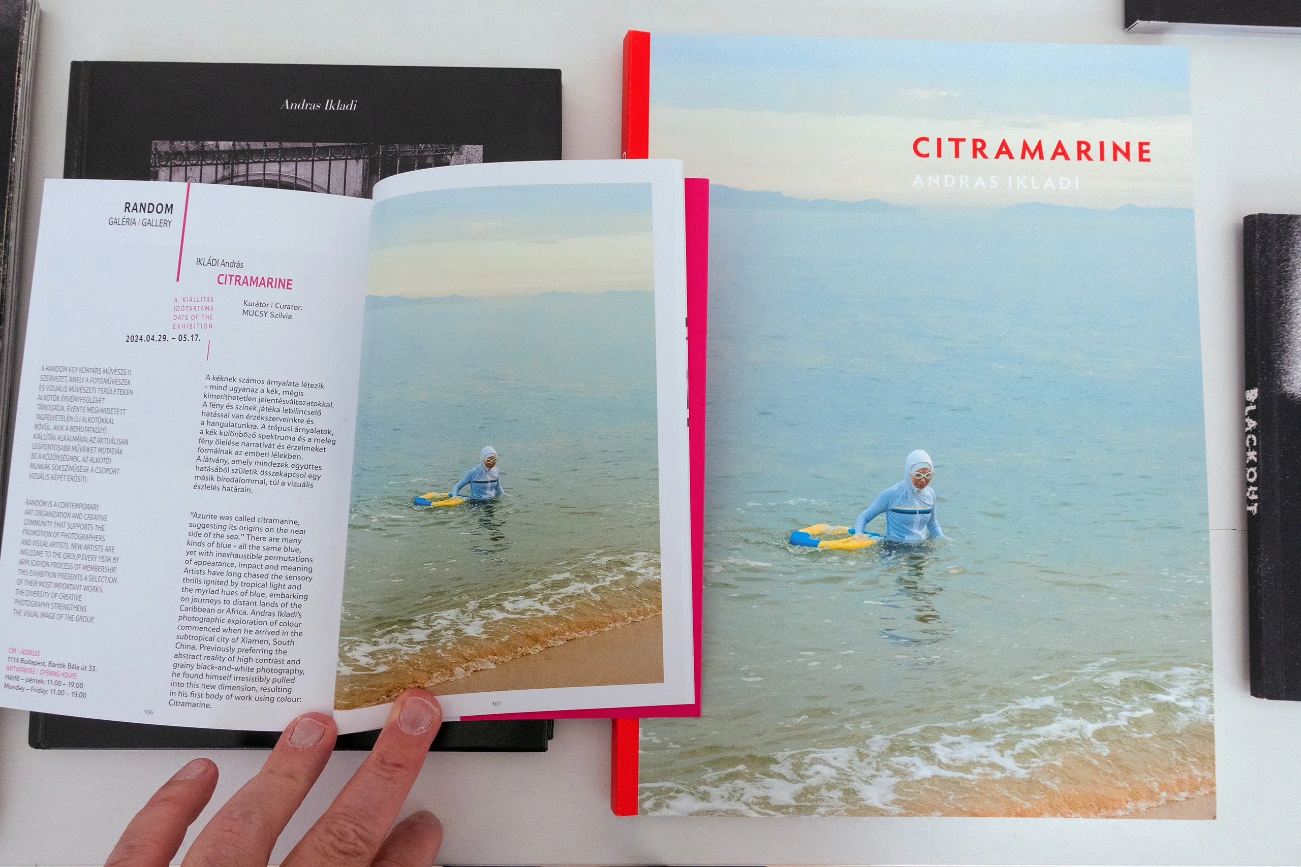 Citramarine — installation view, RANDOM Gallery Budapest, April 2024