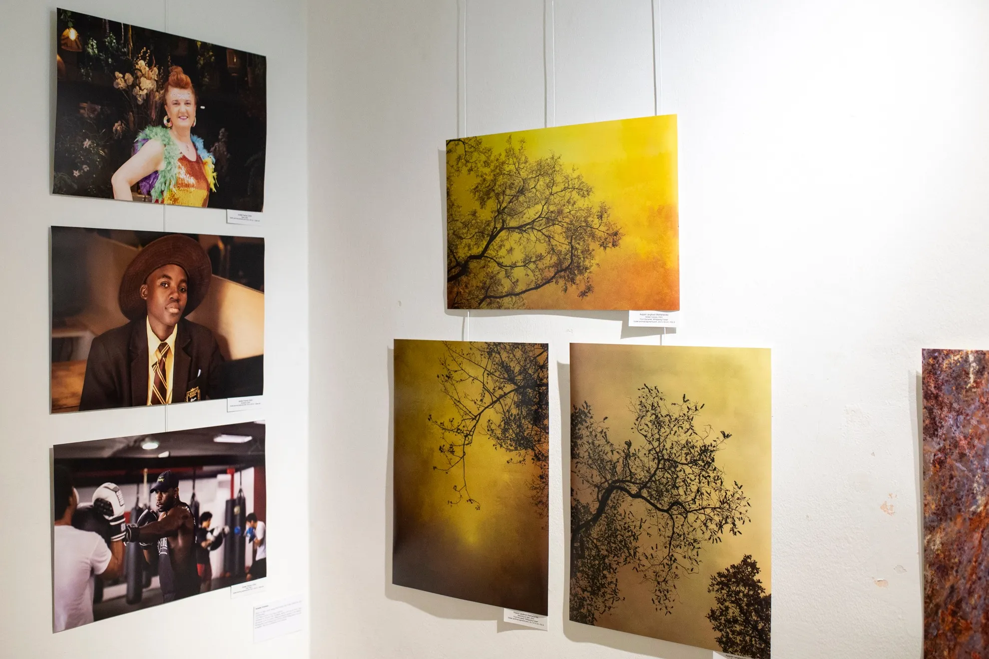 Photographic Visions Spring 2025 — installation view, PH21 Gallery, Budapest