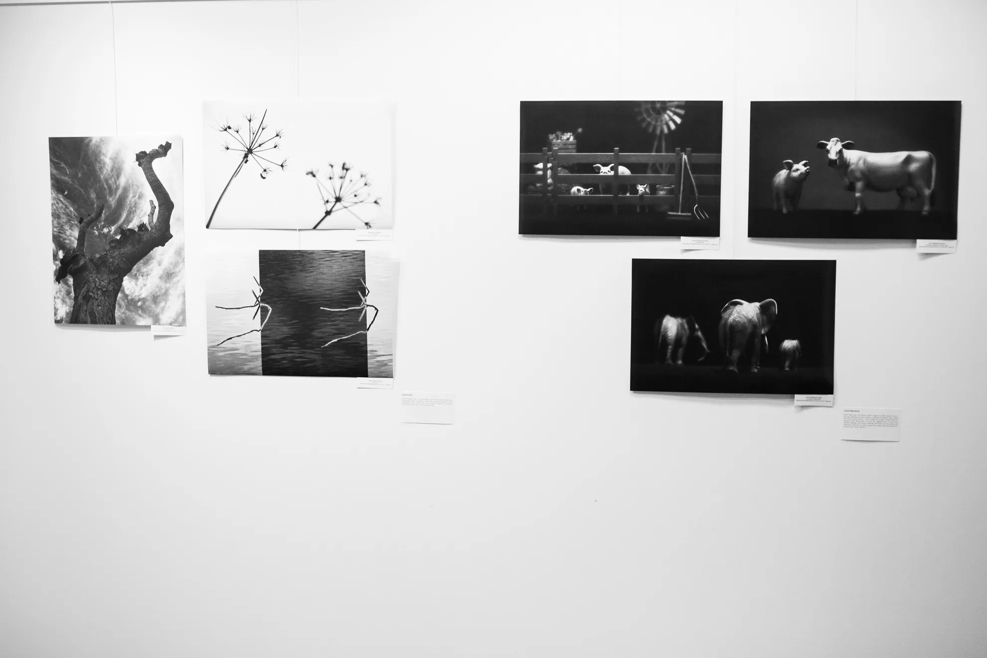 Photographic Visions Spring 2025 — installation view, PH21 Gallery, Budapest