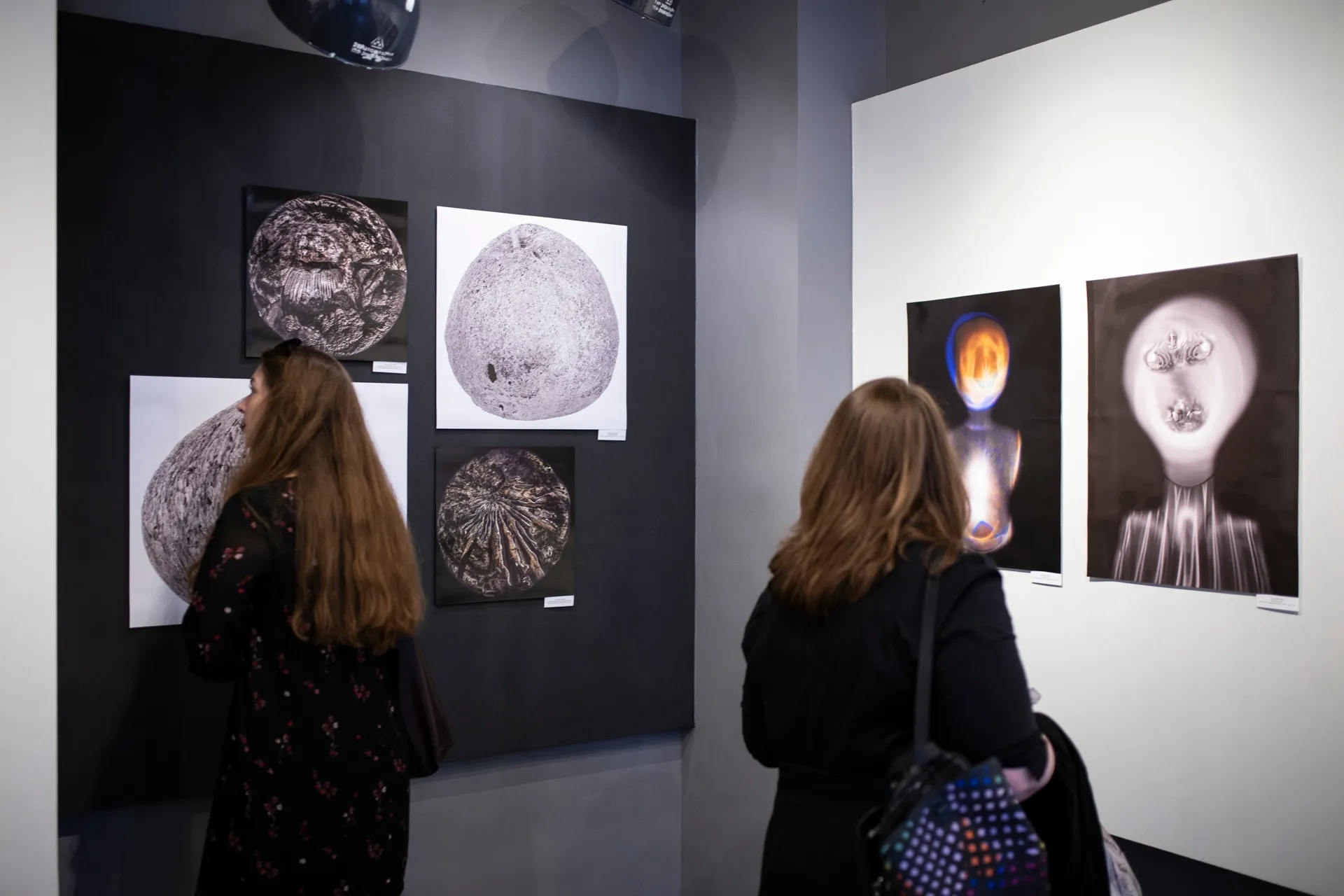 Out of the Ordinary — installation view, PH21 Gallery, Budapest, May 2024