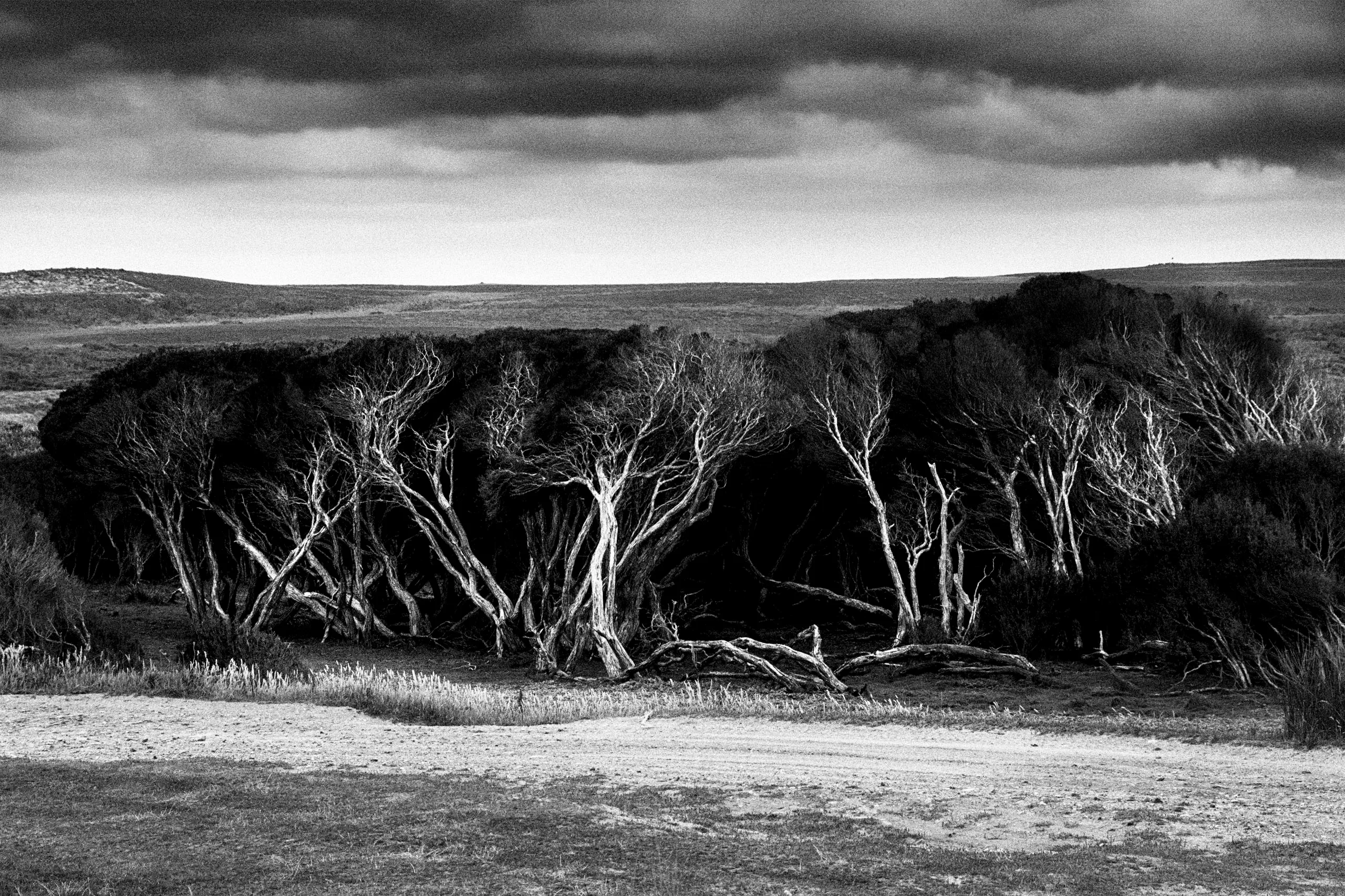 Andras Ikladi — The Floating World, exhibited at Shape, PH21 Gallery Budapest 2024