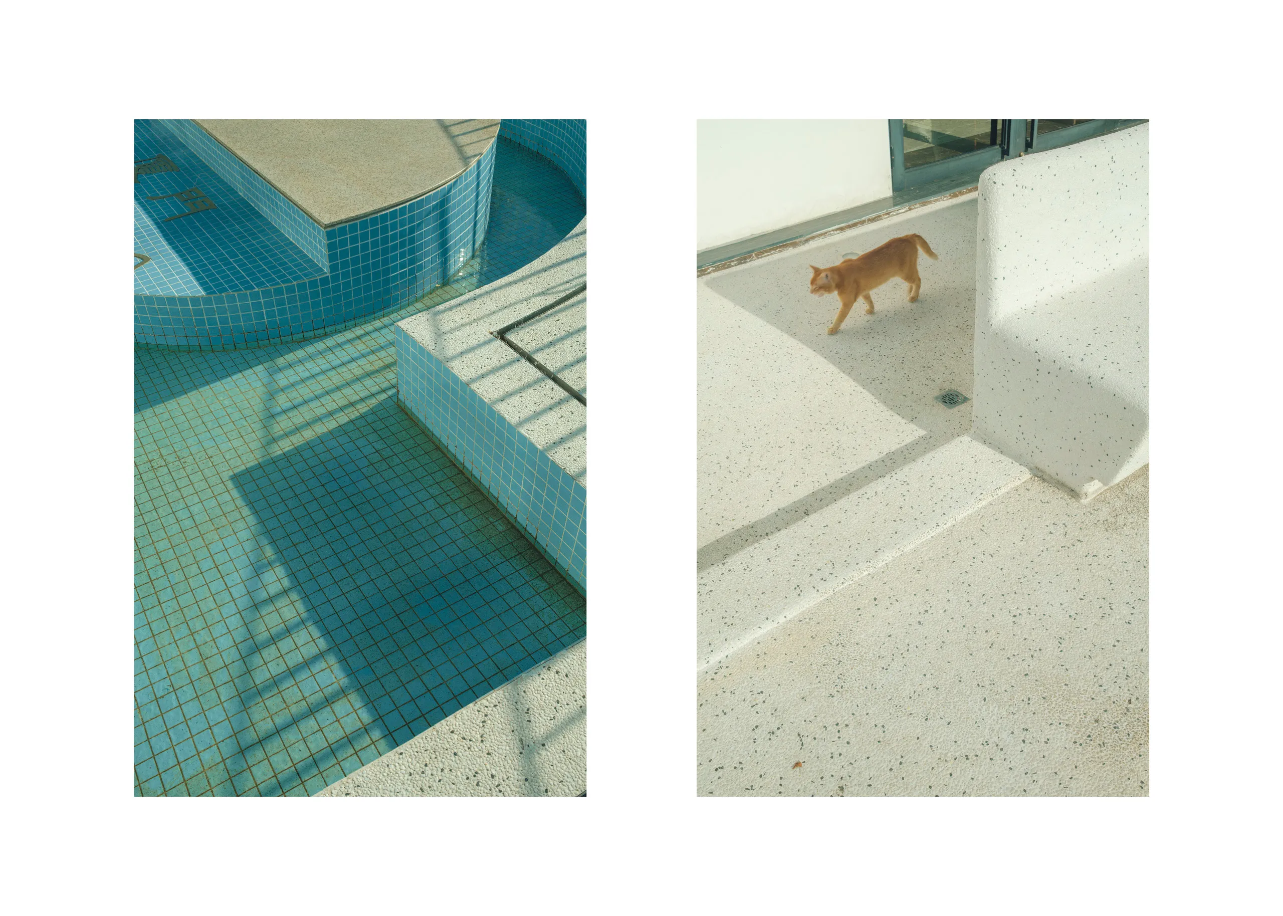 Andras Ikladi — Citramarine, exhibited at Photographic Visions Autumn 2025, PH21 Gallery