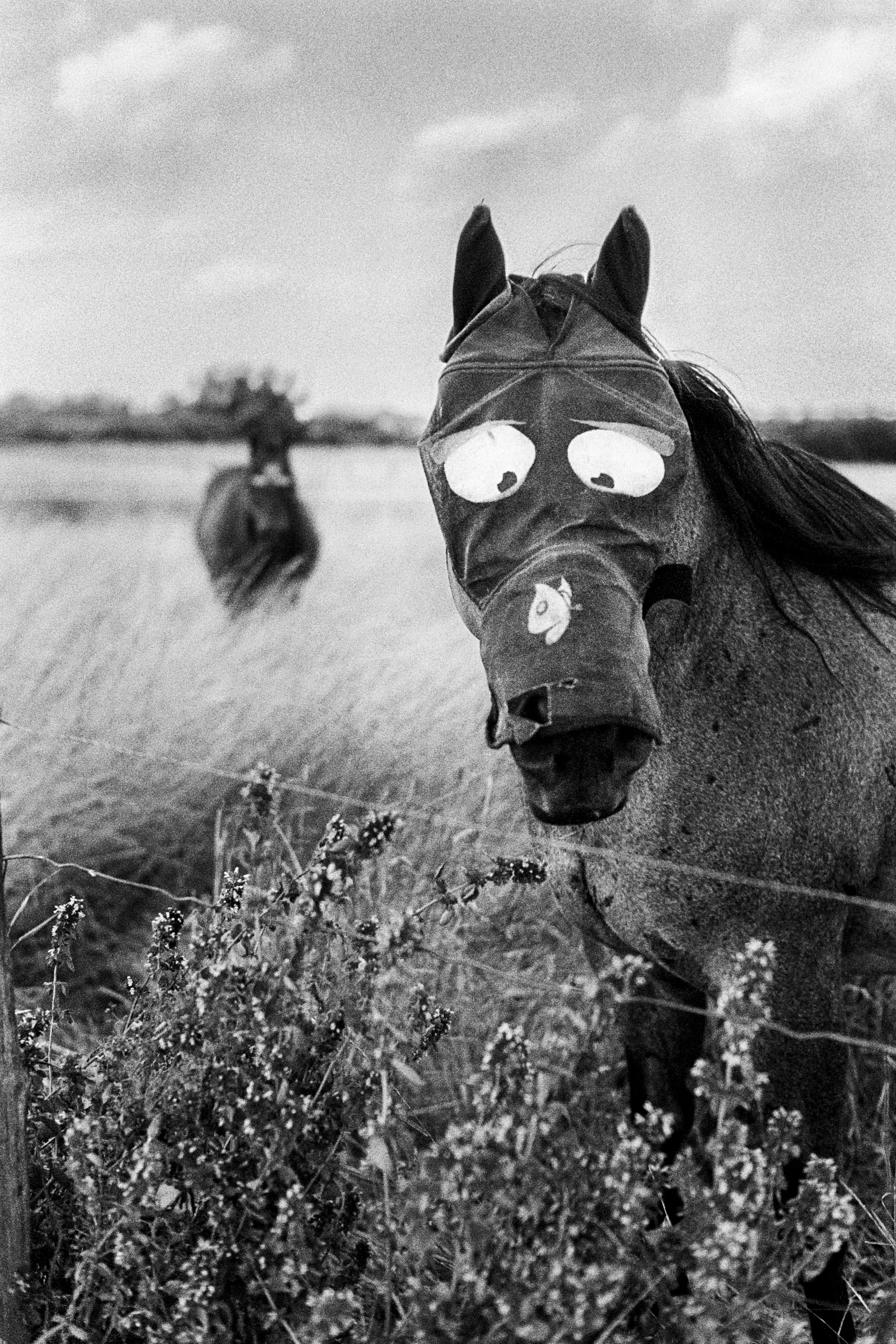 Andras Ikladi — Masks series, exhibited at Southeast Center of Photography, Greenville SC, 2025